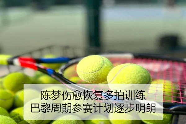 陈梦伤愈恢复多拍训练 巴黎周期参赛计划逐步明朗